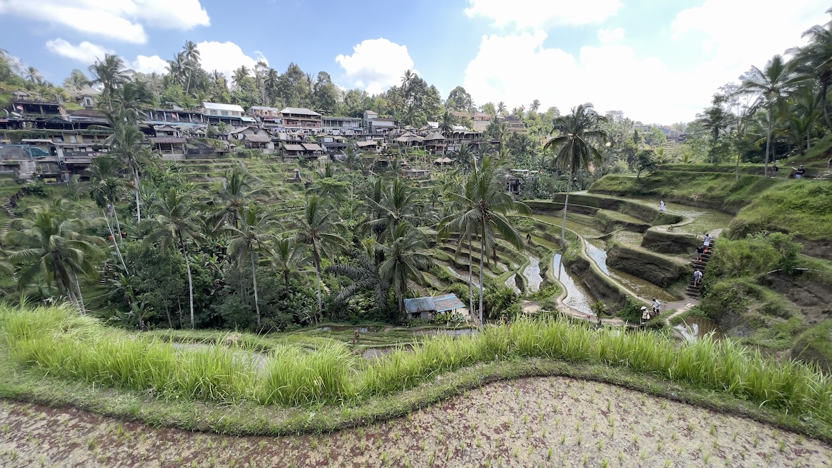Best Bali Ubud Tour Guide: Discover Culture, Nature & Local Life with Daydreamhub & Tridatu Bali Tours
